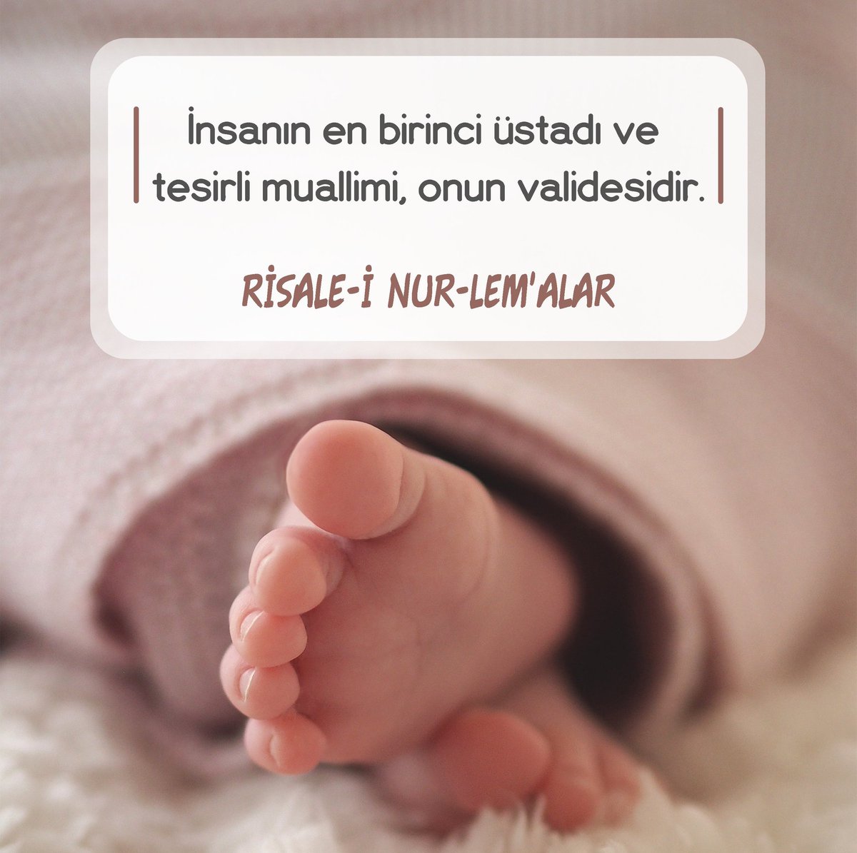 İnsanın en birinci üstadı ve tesirli muallimi, onun validesidir.

•Risale-i Nur-Lem'alar