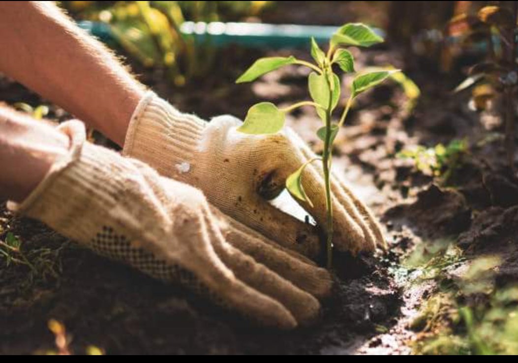 #unemployed #Clontarf #CE #vacancy for #GardeningAssistant to join team based in service for adults on the #AutisticSpectrum.
Apply through jobsireland.ie
Ref: ces2215400
