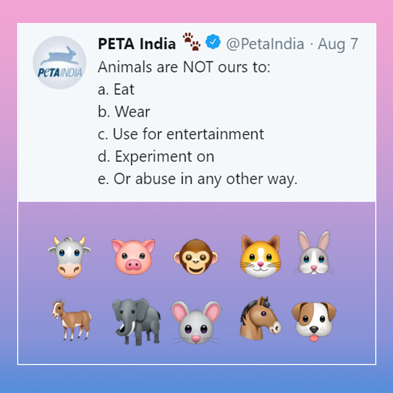 PetaIndia's tweet photo. It’s as simple as that!

#NotOursToWear #NotOursToEat #NotOursToUseForEntertainment #NotOursToExperimentOn https://t.co/EVFDyGMdd2