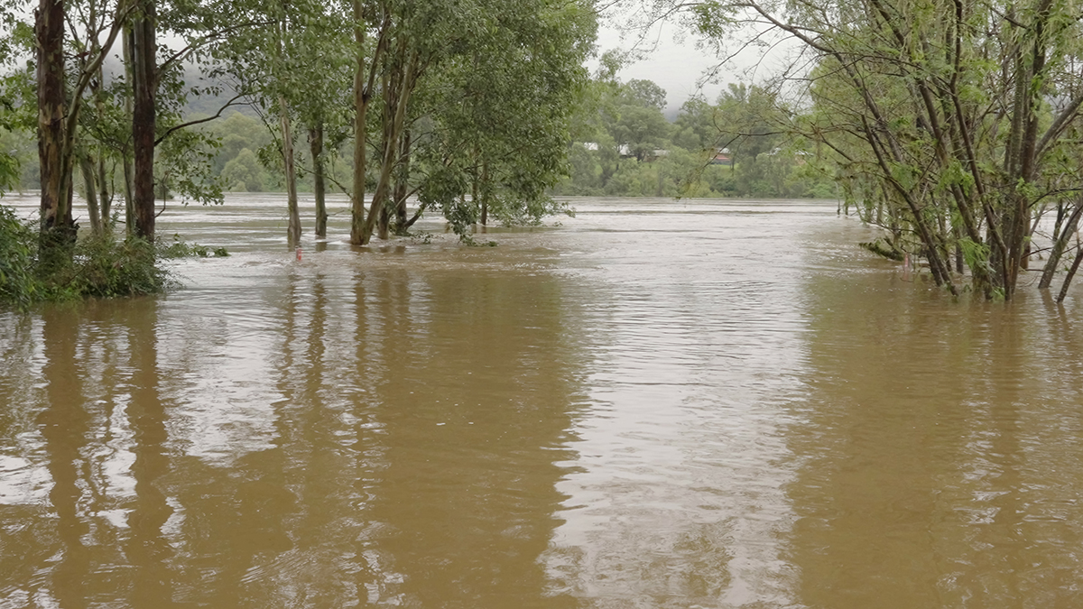 IMBatUQ's tweet photo. Even after devastating floodwaters start to subside, an invisible threat remains. 

Microbes can lead to infection and illness long after the initial flood threat is over.

Learn about the microbes lurking in mud, &amp; how to protect yourself:
https://t.co/fEdpER8jcl https://t.co/I3OFSpX3v0