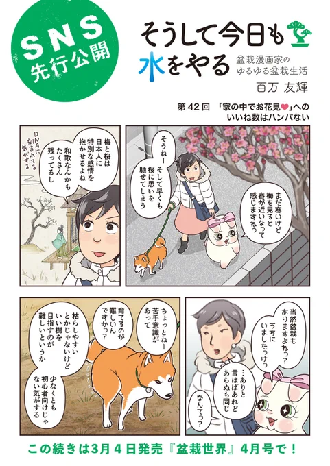 【盆栽世界4月号予告】
樹と共に暮らす生活を提案する盆栽専門誌『盆栽世界』最新号は4日発売!
今回の #水やる は梅と桜。憧れつつも苦手な理由とは…?
本誌メイン特集は「手のかからない盆栽のススメ」。最高かよ…!どんどんハードル下げて欲しいです。 #盆栽 #bonsai 