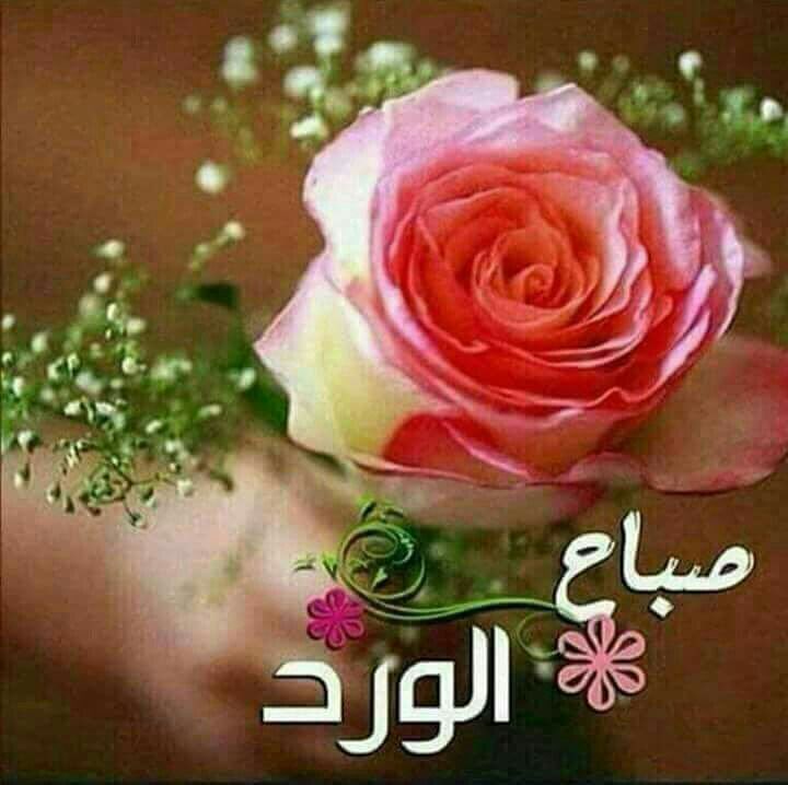 arb_ynyh's tweet photo. @2EBkfAqiBnBz0Un https://t.co/xW1ukOB1JO