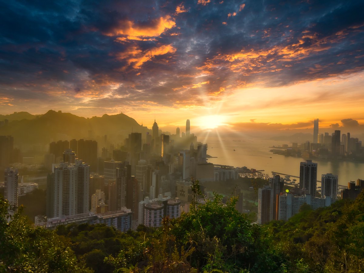 benfox's tweet image. Just a reminder that there is still beauty in Hong Kong despite everything that's going on here #NFT #NFTCommunity