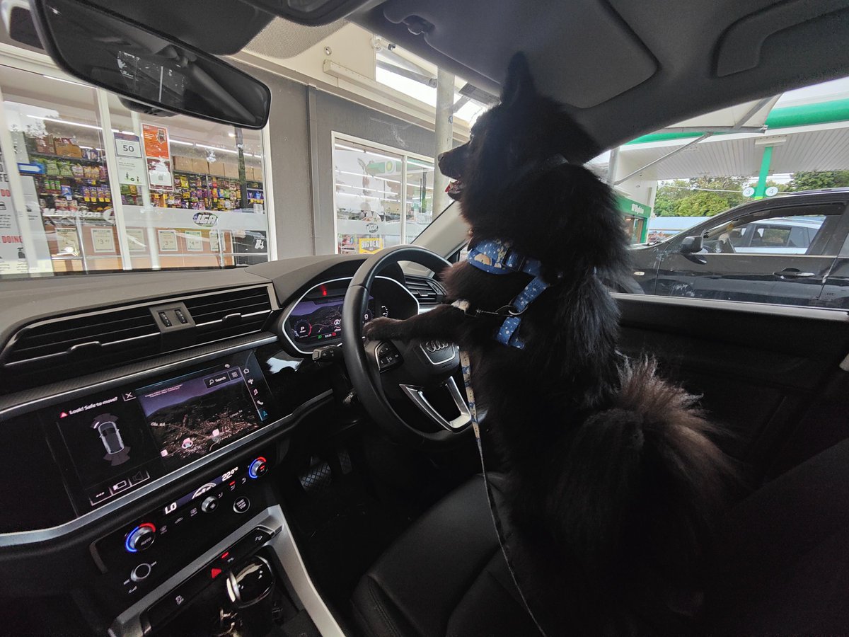 stark.ron tweet media