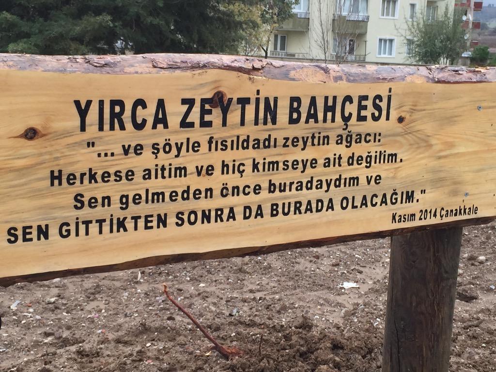 Homeros’un kulağına şöyle fısıldadı zeytin ağacı:
Herkese aitim ve kimseye ait değilim.
Sen gelmeden önce buradaydım ve sen gittikten sonra da burada olacağım.
#ZeytinimeDokunma 
#ZeytinİcinAdalet
