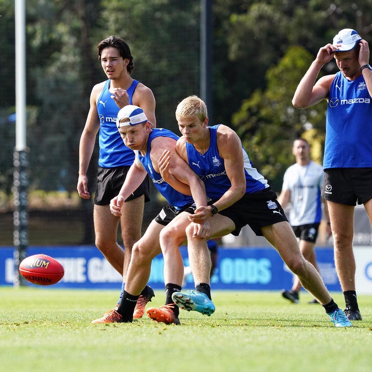 SnakeTeflon_AFL's tweet photo. @NMFCOfficial @jackziebell @TarrynThomas26 More this https://t.co/03B4GOqEs0