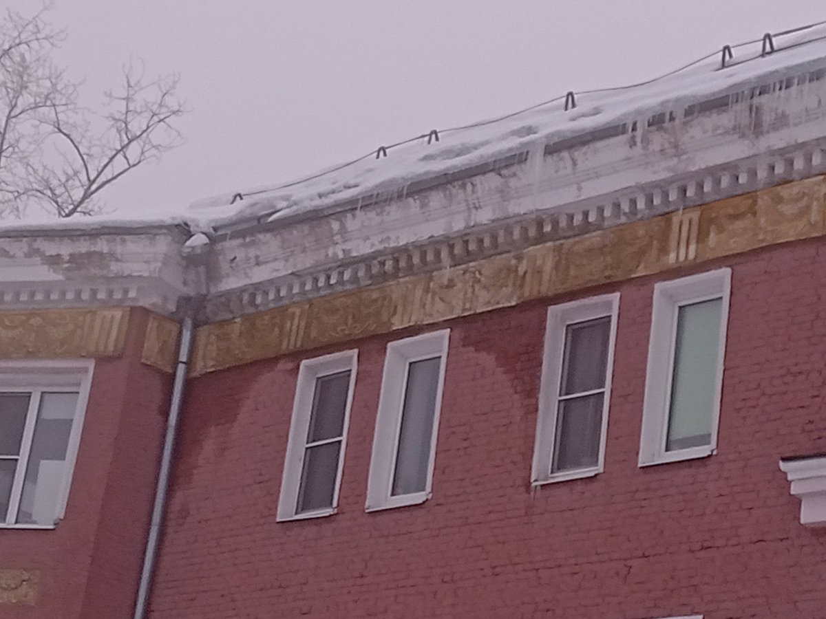 Светлана tweet media