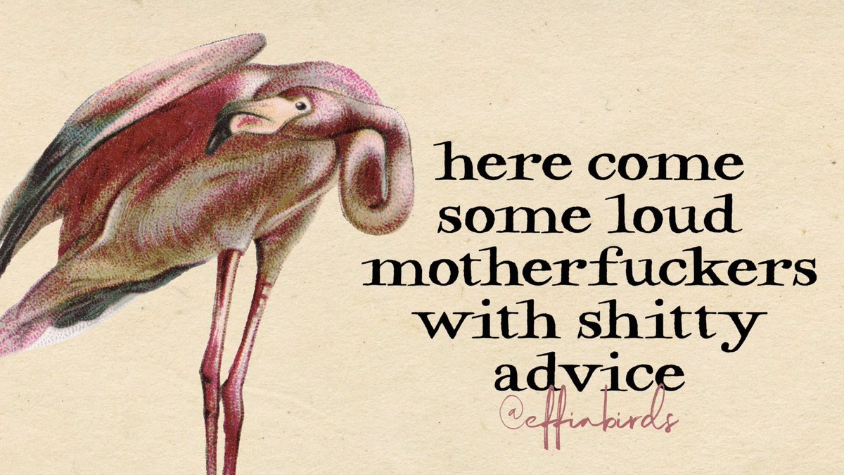 A painting of a flamingo accompanied by the text “here come some loud motherfuckers with shitty advice”.