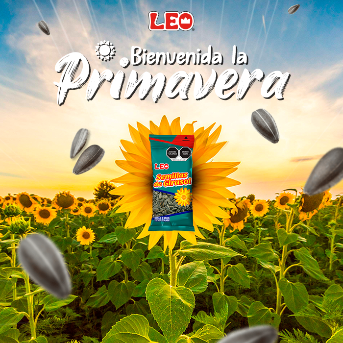 Botanas_Leo's tweet photo. ¡Confirmado! ¡La llegada de la Primavera viene acompañada de mucho sabor! 🌻🌞 https://t.co/7kK4u8LyDW