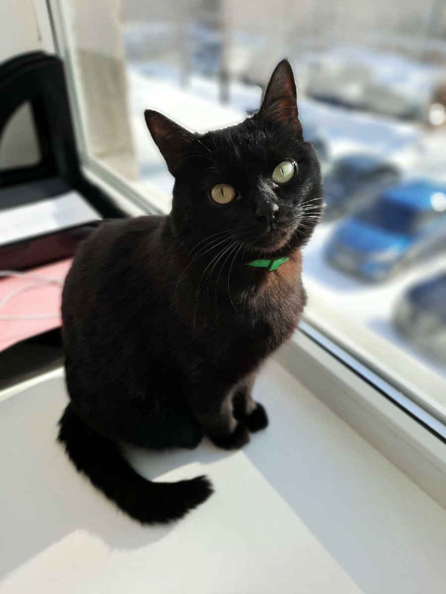 ЭкоСтройРесурс tweet media