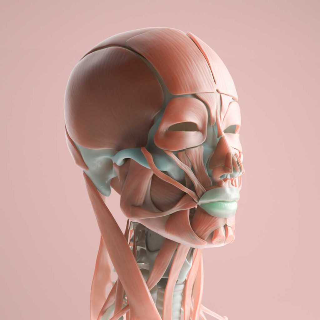 Art the Science 🚀🎨 tweet media