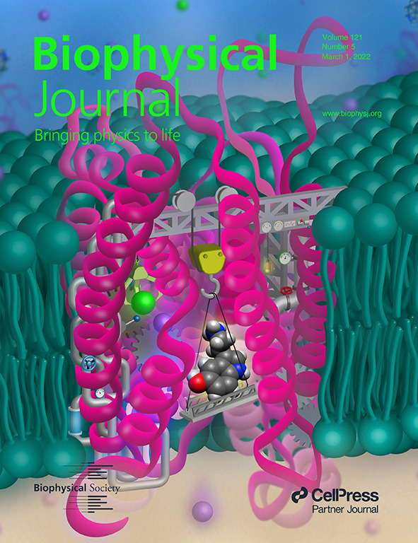 Matthew C. Chan tweet media