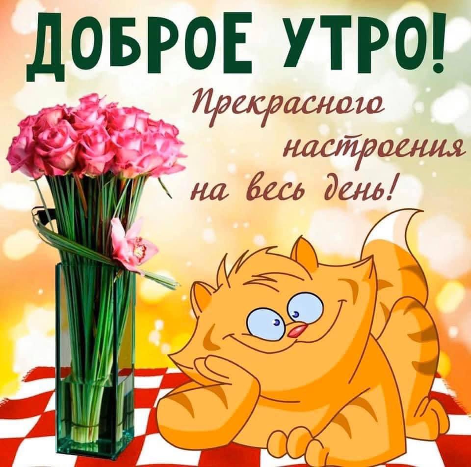 Друзья!