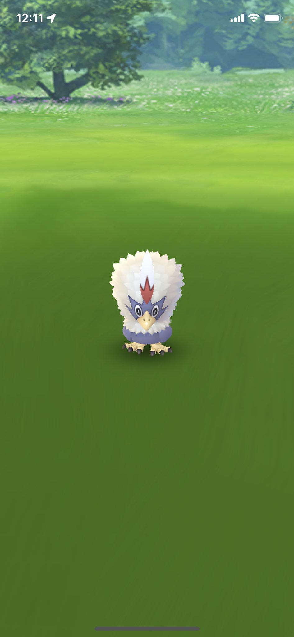 ポケビュー Pokemonbyu Twitter