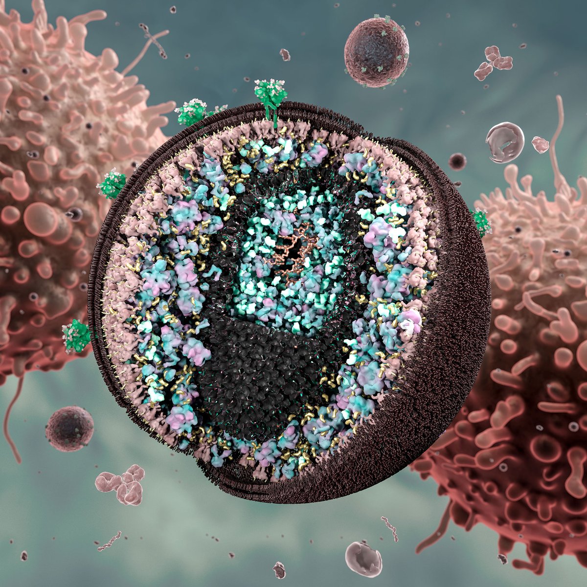 Art the Science 🚀🎨 tweet media