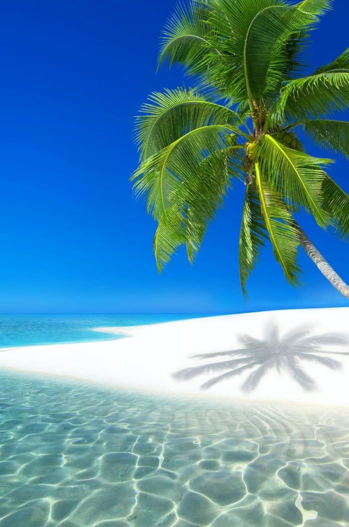 💦Nikita 🌼 (@nikolas_112) on Twitter photo 