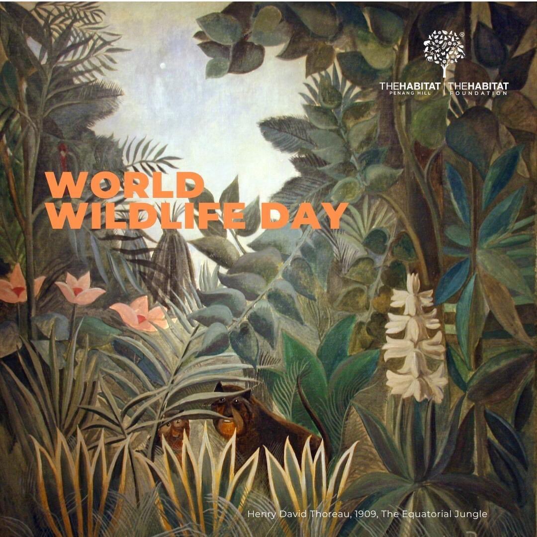 TheHabitatFoundation tweet media