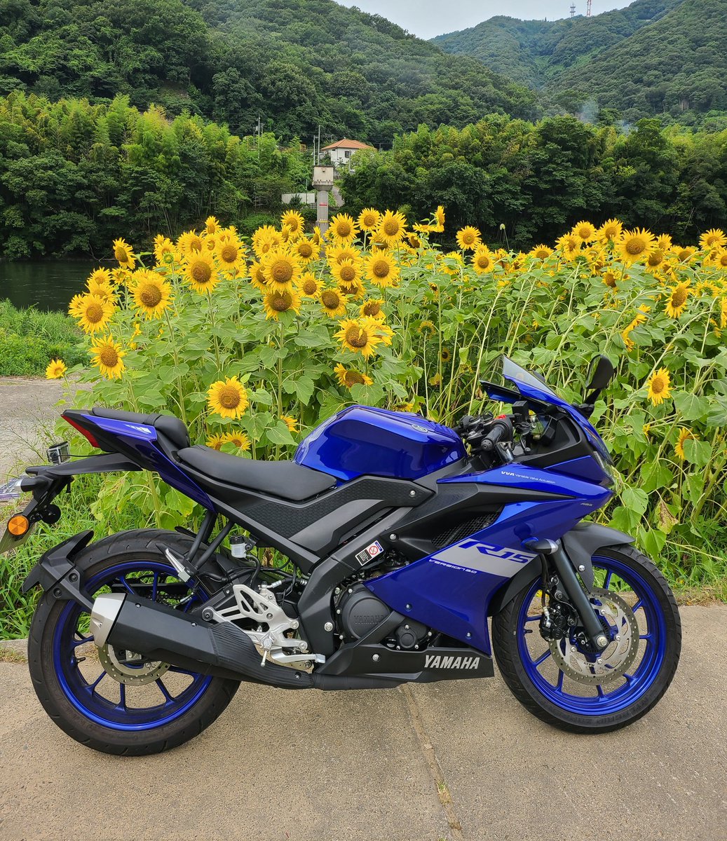 P33624041's tweet photo. 名前:ナオフミ
年齢:平成生まれ
性別:男
住み:備前
車種: yzf-r15
身長:168
好き:バイク・アニメ・映画
一言:150ccという微妙な排気量のバイクの良さを伝えていきたいです♪

#バイク乗りとして軽く自己紹介
#バイク好きと繋がりたい 
#yzfr15 https://t.co/Dm8jUvTzpD
