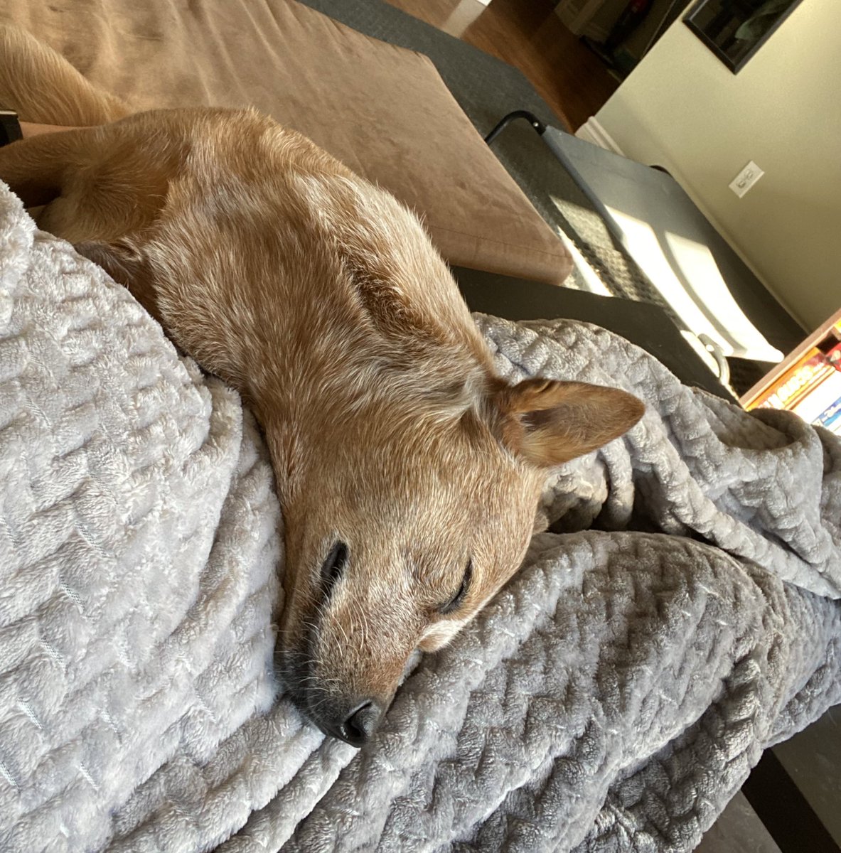 Vic, Hayden & Arlo tweet media