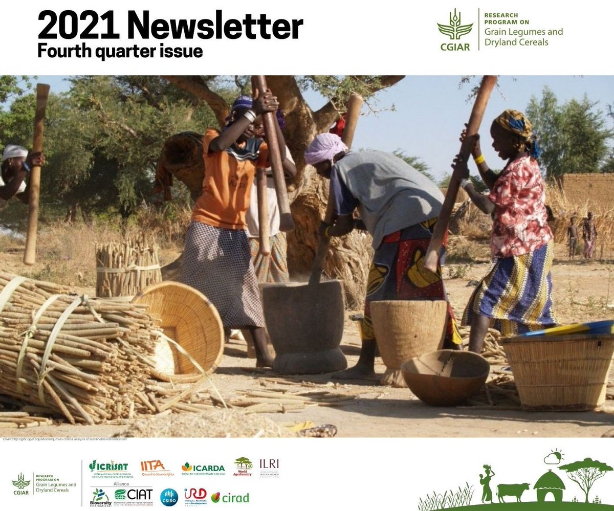 Grain Legumes and Dryland Cereals (GLDC) (@gldc_cgiar) on Twitter photo Discover our contributions with our partners to deliver crop technologies, productivity, and economic gains from market linkages and value chain development to transform underperforming agri-food systems in <a href="/GLDC_CGIAR/">Grain Legumes and Dryland Cereals (GLDC)</a> target ecologies.
bit.ly/32wdj5q
#OneCGIAR <a href="/CGIAR/">CGIAR</a> Discover our contributions with our partners to deliver crop technologies, productivity, and economic gains from market linkages and value chain development to transform underperforming agri-food systems in <a href="/GLDC_CGIAR/">Grain Legumes and Dryland Cereals (GLDC)</a> target ecologies.
bit.ly/32wdj5q
#OneCGIAR <a href="/CGIAR/">CGIAR</a>