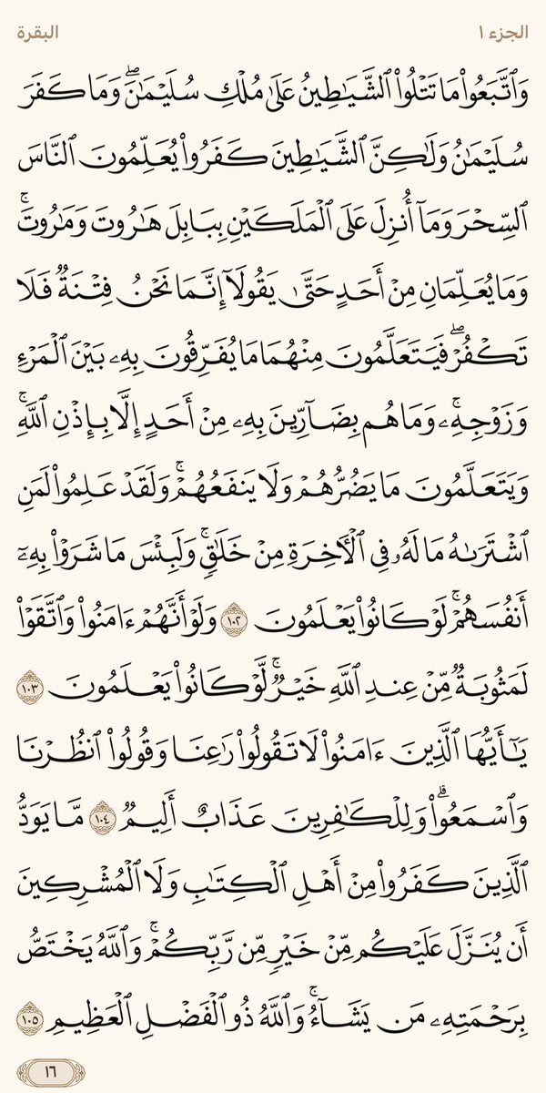 كل يوم صفحة tweet media