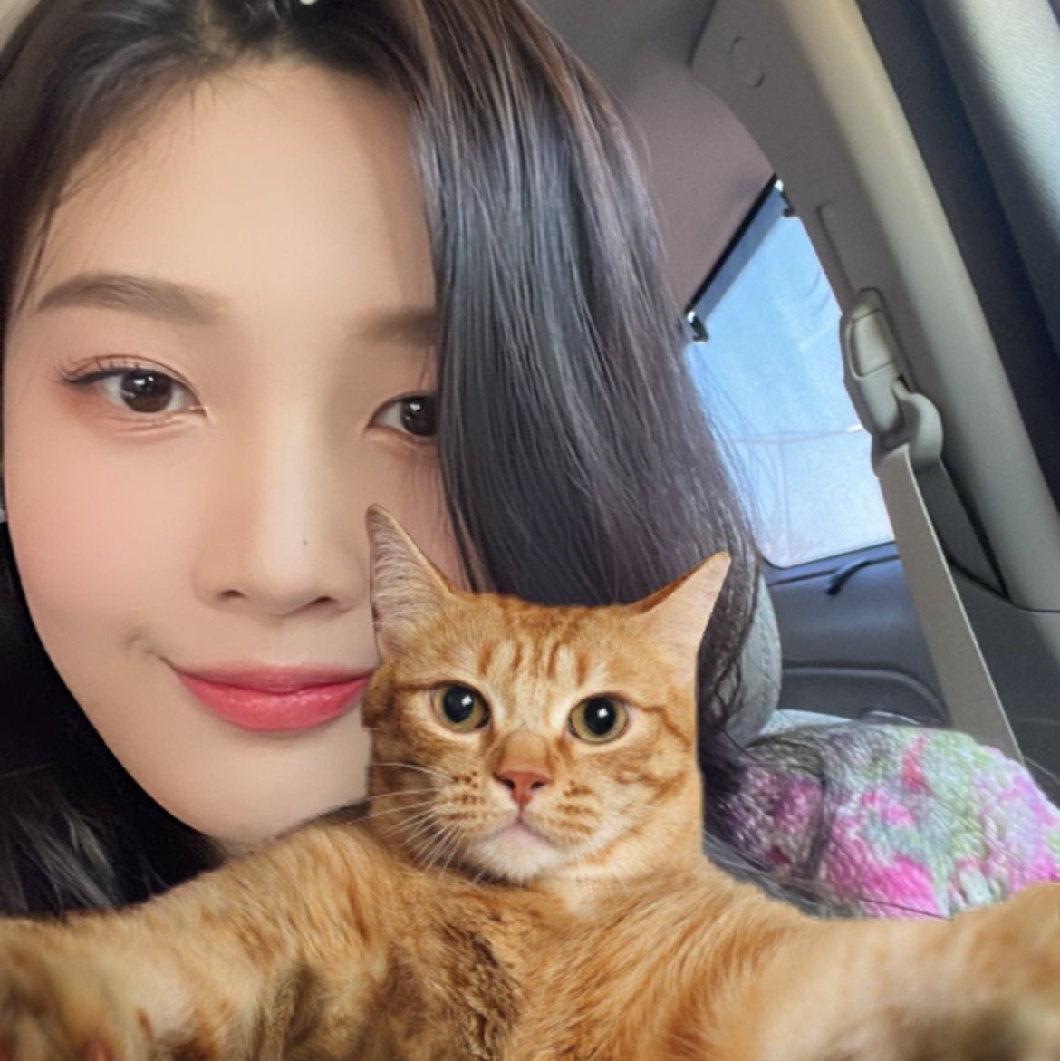 Iovemiso's tweet photo. joy and miso #NewProfilePic https://t.co/sIk3suEL3k