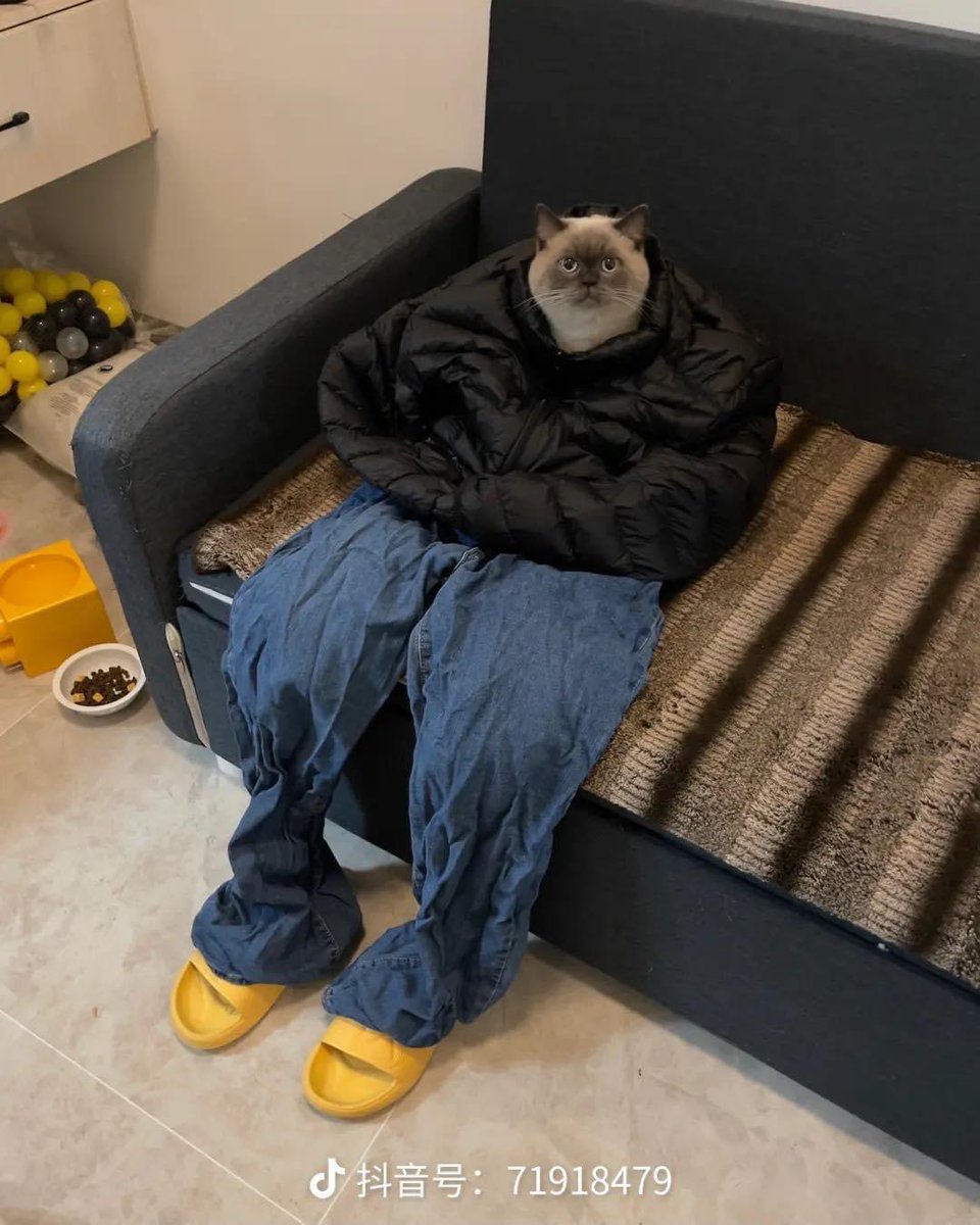 LemonWitLime's tweet photo. Iced out head to toe on a Tuesday https://t.co/llT3HRIBtR