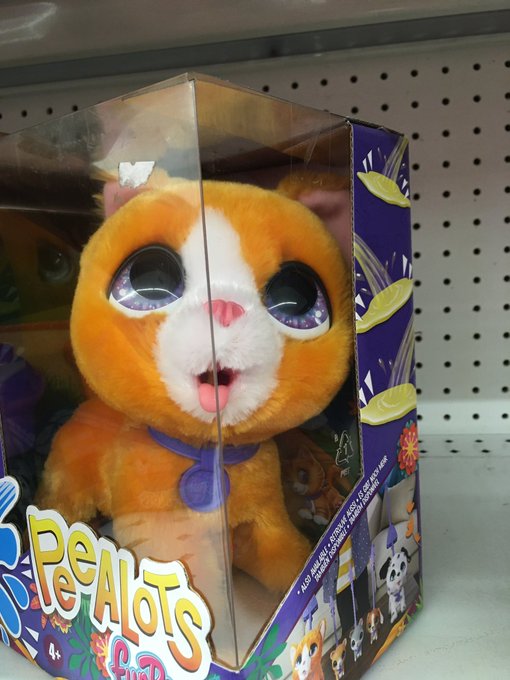 jesus christ https://t.co/ov4M7v9hk8