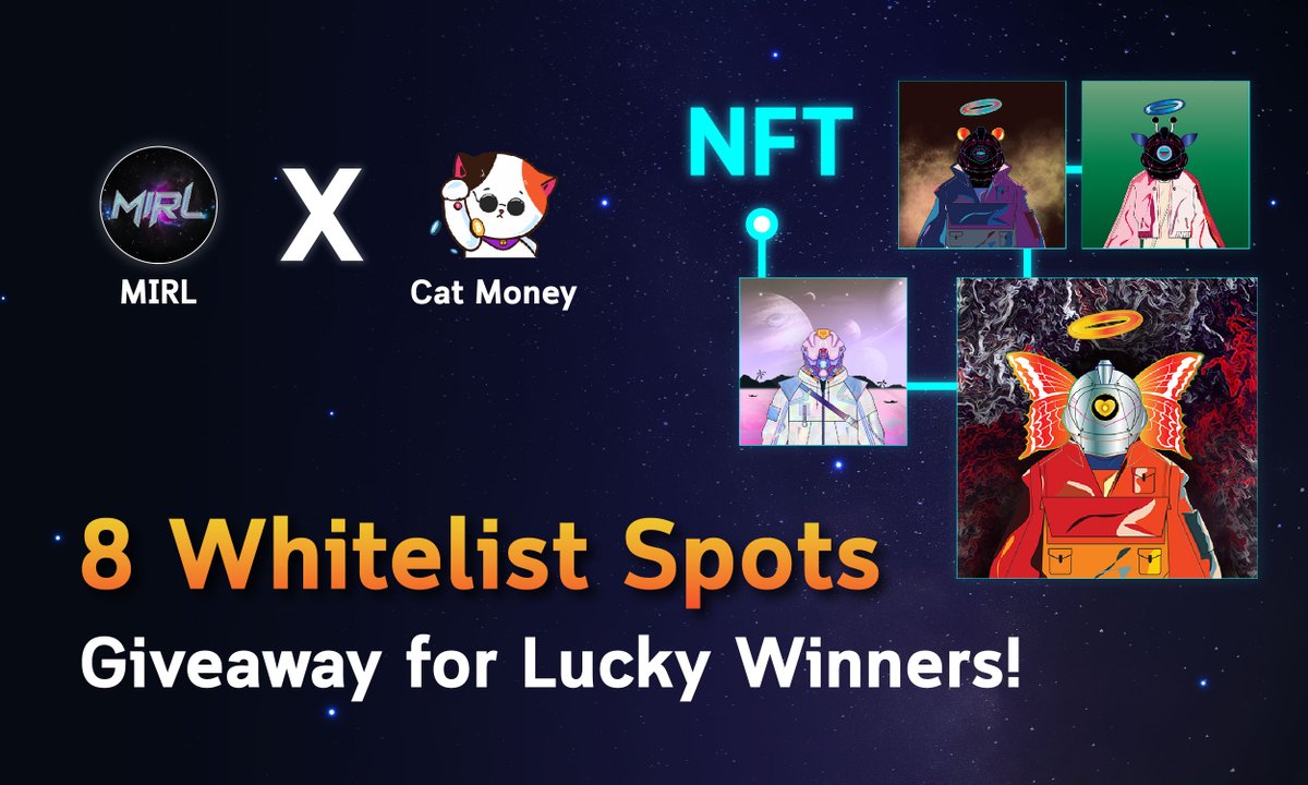 Pure Cat Money 🧭 ⚡ tweet media