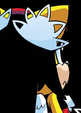 Honey the Cat tweet media