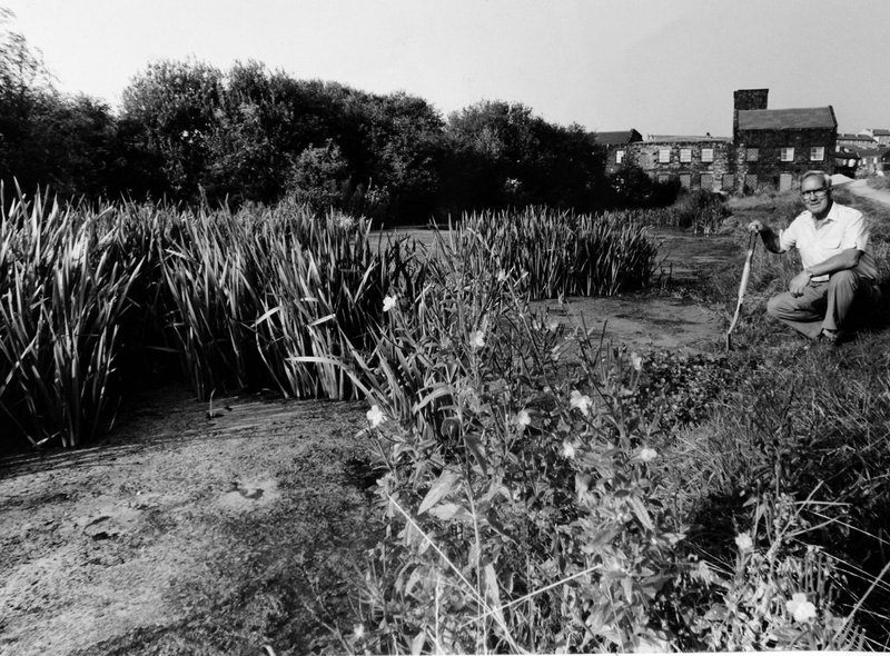 EngineFields's tweet photo. @nelnanandnora @andybanjobrown @StartBirding In 1984 Albert Shutt asked Council for permission to tidy up the informal waste dump to create Engine Fields nature area.He &amp; friend Norman Cousins worked on it until Albert’s death in 1994,after which the Friends were formed. Photo of AS from 1990, with Old Dog Mill behind https://t.co/PRpzCQ42zR