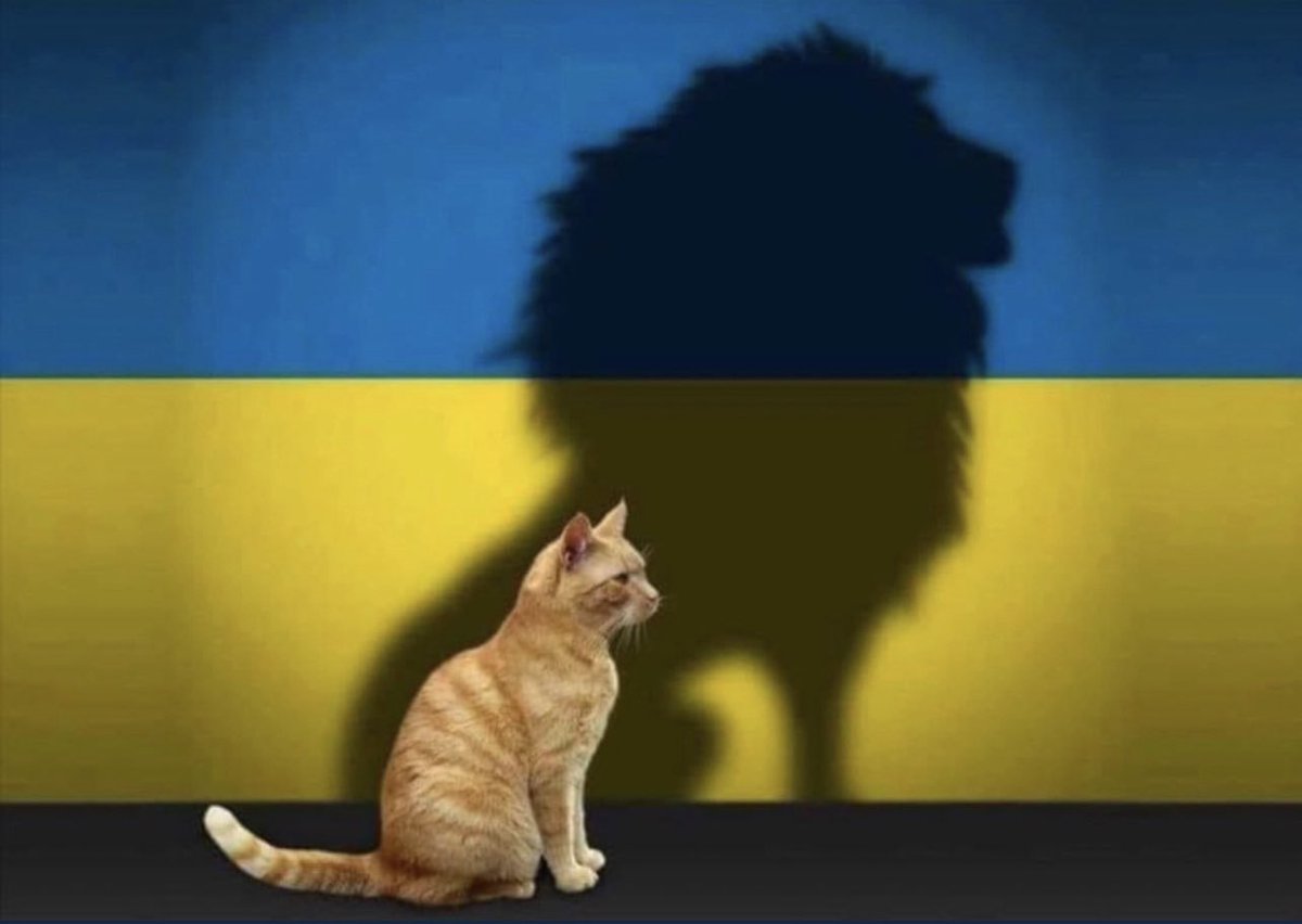 kro956's tweet photo. I am not so arrogant to think I have all the answers, but I know the badassery level of Ukraine is inspiring. #StopWarInUkraine #StandWithUkriane #UkraineRussiaWar #keepfighting #DemocracyMatters https://t.co/VPwA41mNh3