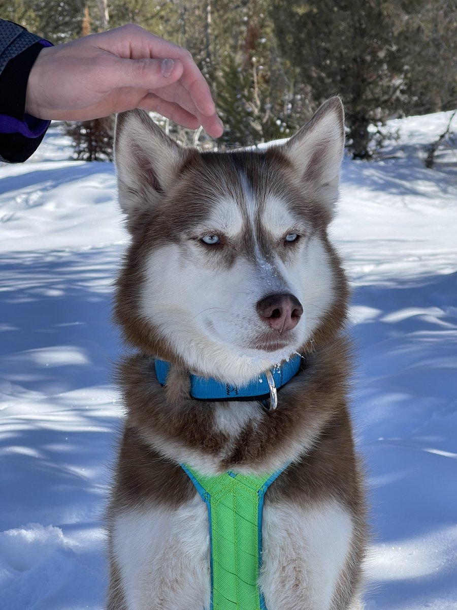 Alex, Kyra and Mika tweet media