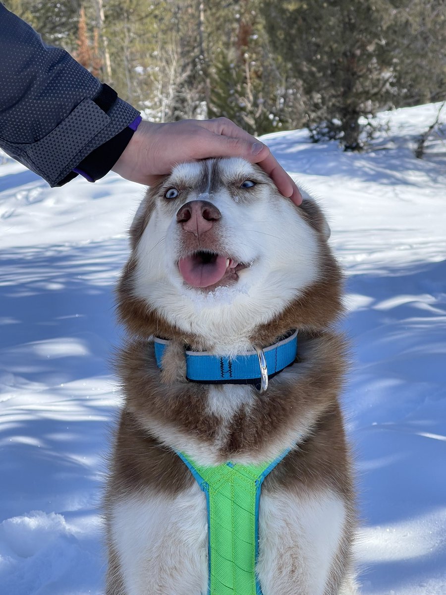 Alex, Kyra and Mika tweet media