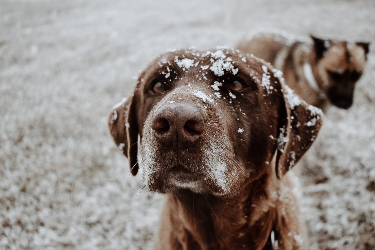 Abraxos&Della tweet media