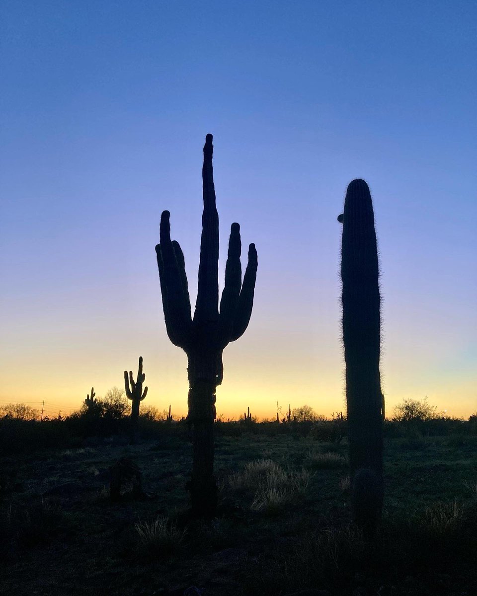 GHorton2012's tweet photo. Loving life in Arizona! Bags on..a lovely evening for a 90 minute test ride. Tomorrow I begin my 1st #Bikepacking trip in #Arizona with a 280 mile loop. #Restrap #Alpkit #Mtb #Whytebike #Adventure https://t.co/iaZTcrzHoH