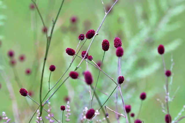 漢字の備忘録 Ffrq7obun6x7tow Twitter