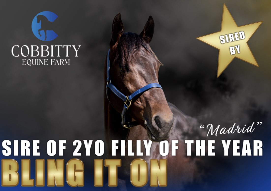 tracylamb_'s tweet photo. @AustPacingGold Sydney Yearling sale this Sunday. First foal from race winning mare Lucy Lamb. By Bling It On who sired NSW 2yo of the year filly MADRID. @CobbittyEquine @lukeamccarthy @BelMcCarthy https://t.co/qXOolU0G31