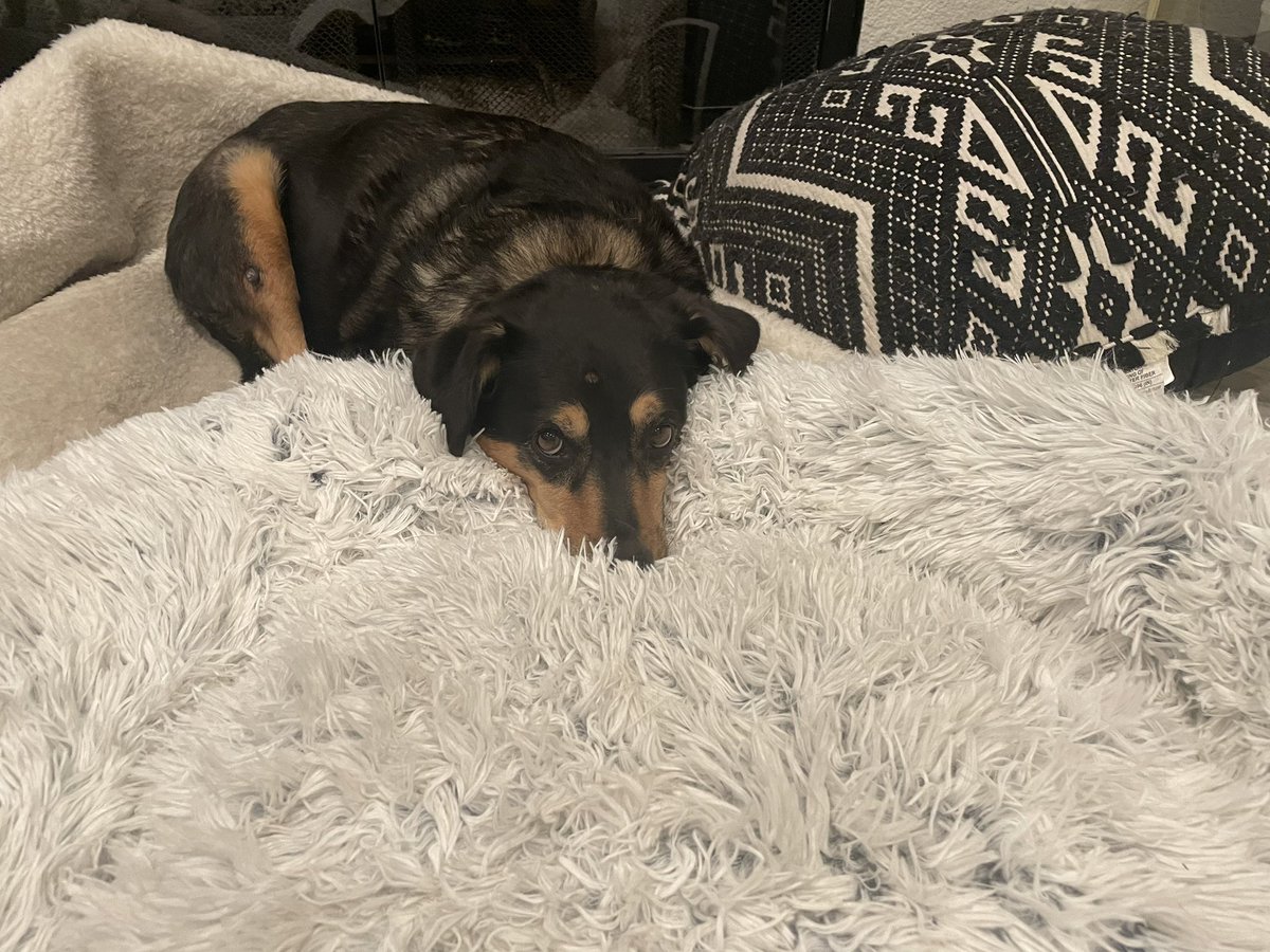 blaire erskine tweet media