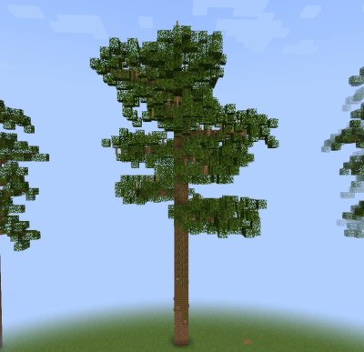 🌲19 new trees have been added to Cubetrees 🌳
cubetrees.com