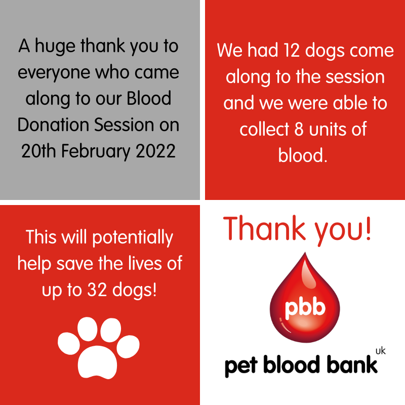 We have just hosted another successful canine blood drive and collected 8 units of blood. 

This will help save the lives of up to 32 patients. #petbloodbank