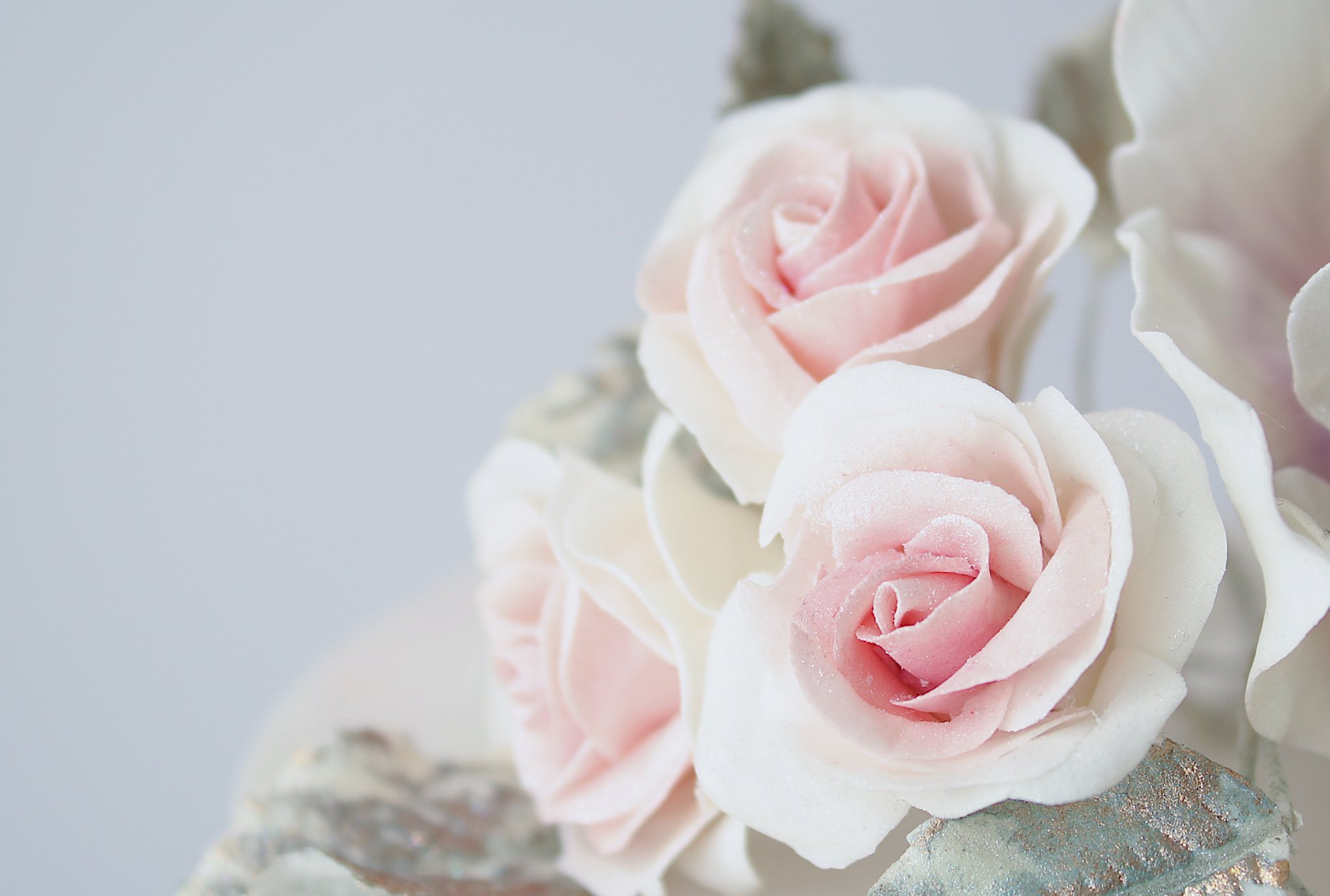 Sucre 吉田ななこ これだけ花びらを重ねると どれだけ薄く伸ばせるかも重要になってきます 分厚い花びら を何枚も重ねると重たくなり芯が支えきれなかったり 野暮ったく見えてしまいます 薄いから良いのではなく 厚みに合った構造にするのがベストかなと Sucre 吉田ななこ これだけ花びらを重ねると どれだけ薄く伸ばせるかも重要になってきます 分厚い花びら を何枚も重ねると重たくなり芯が支えきれなかったり 野暮ったく見えてしまいます 薄いから良いのではなく 厚みに合った構造にするのがベストかなと