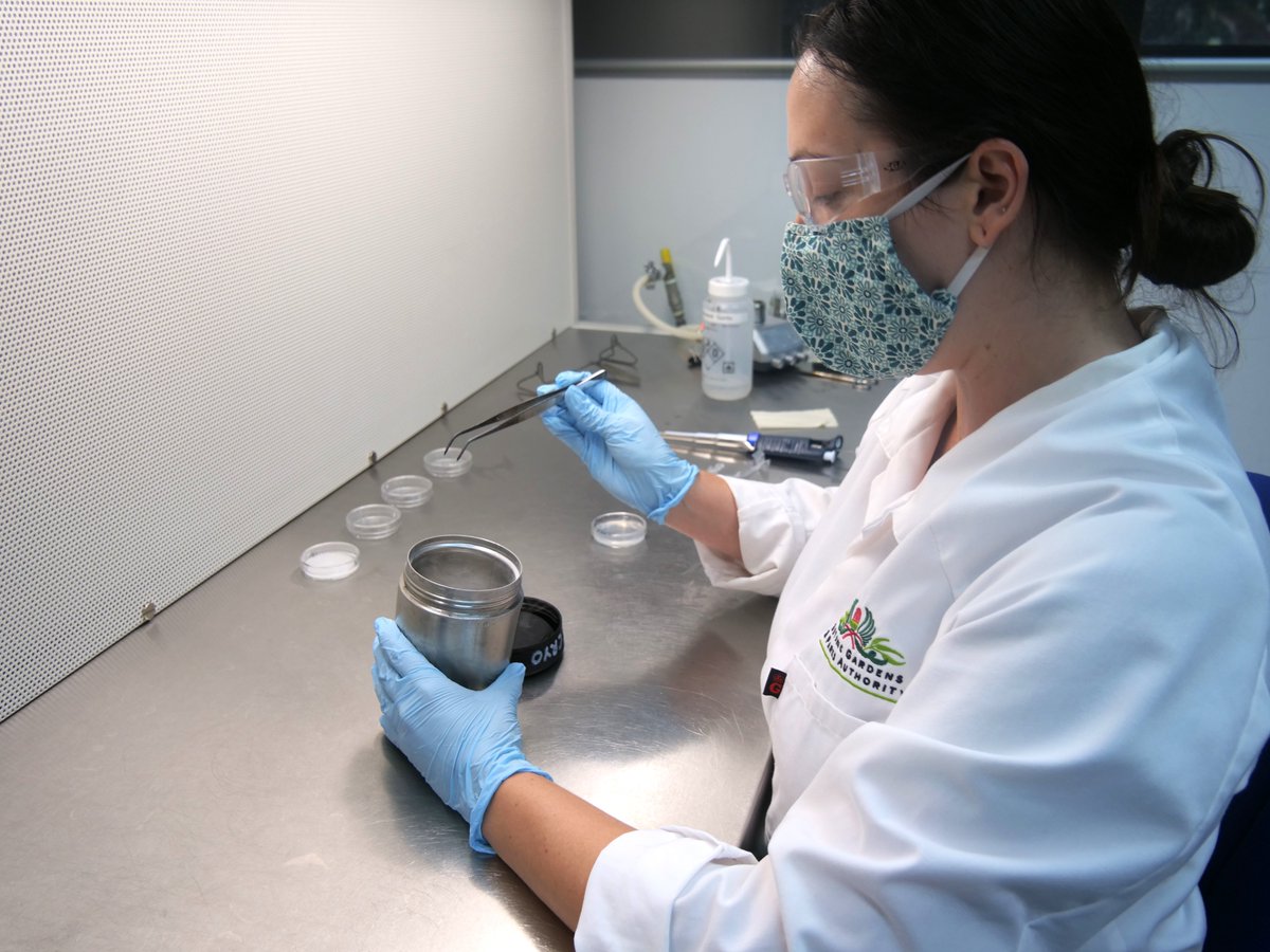 FriendsofKingsPark tweet media