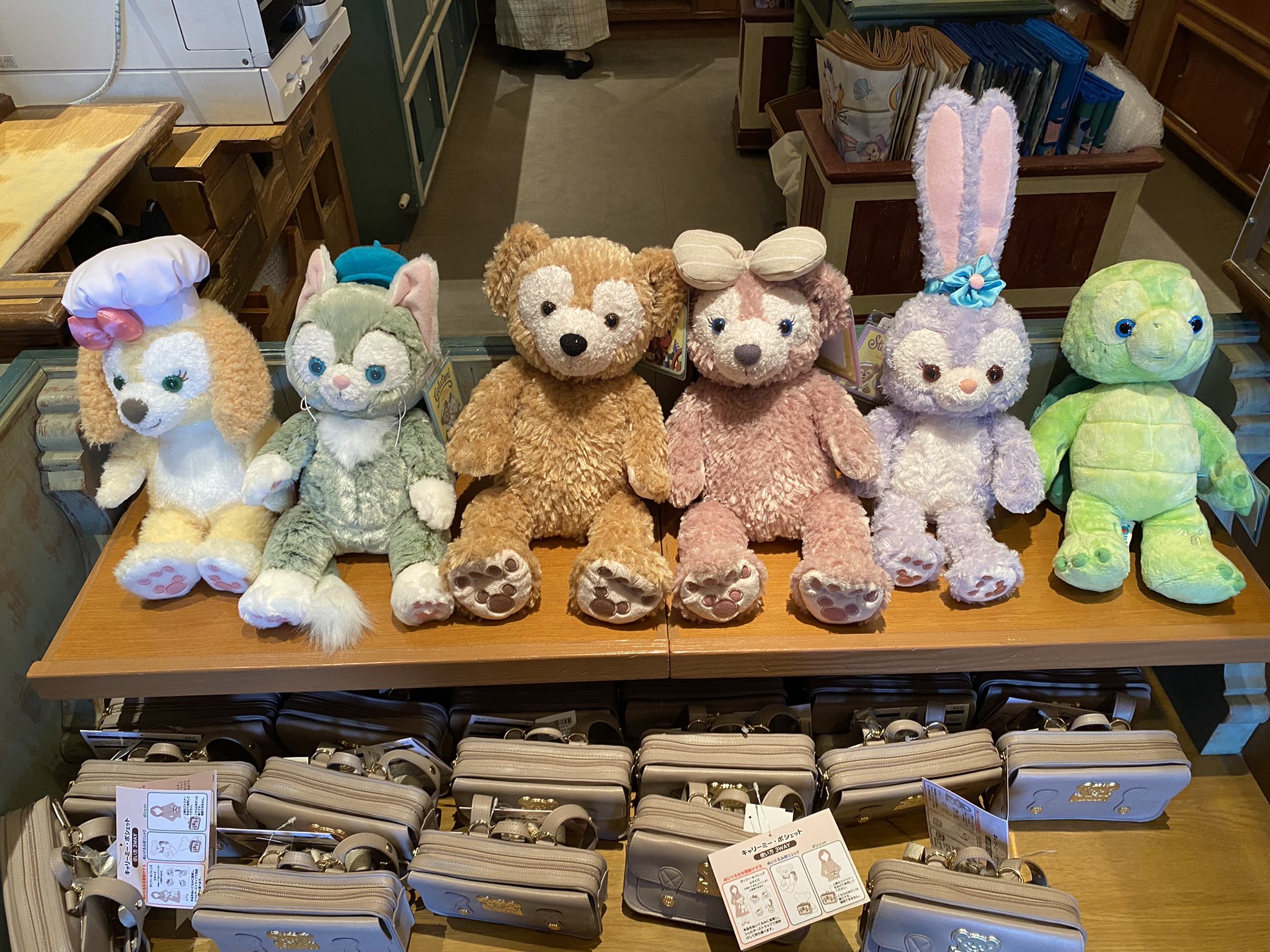 けい Kei 現在の東京ディズニーシーでは ダッフィーとシェリーメイのぬいぐるみsサイズも数が少なくなっていてアーントペクズヴィレッジストアのみお取り扱い カチューシャに関してもダッフィーとシェリーメイがお品切れでダッフィー フレンズの