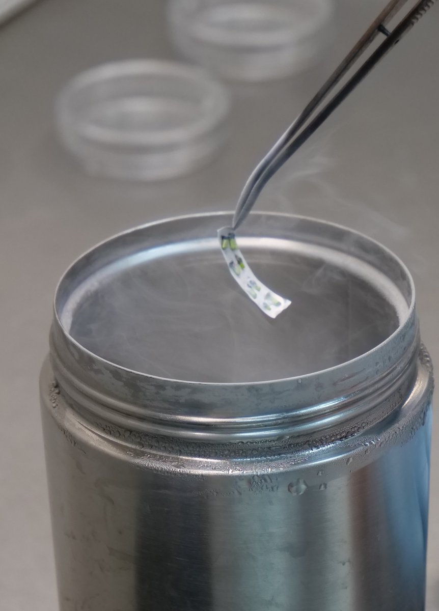 FriendsofKingsPark tweet media