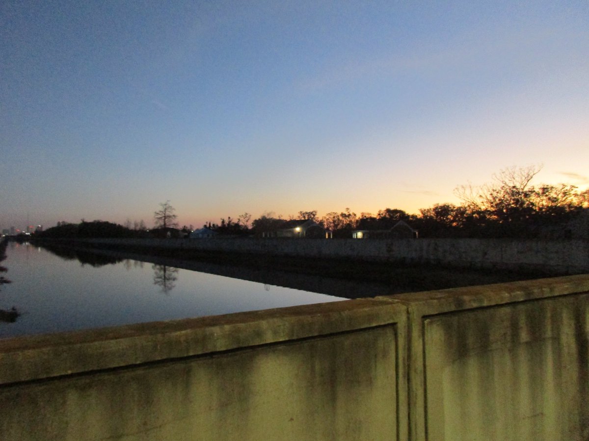 A little more #Yardigras
Good Night Y'all
and Happy #MardiGras #MardiGras2022
from #NOLA #NewOrleans #NOLATwitter 💜🖖