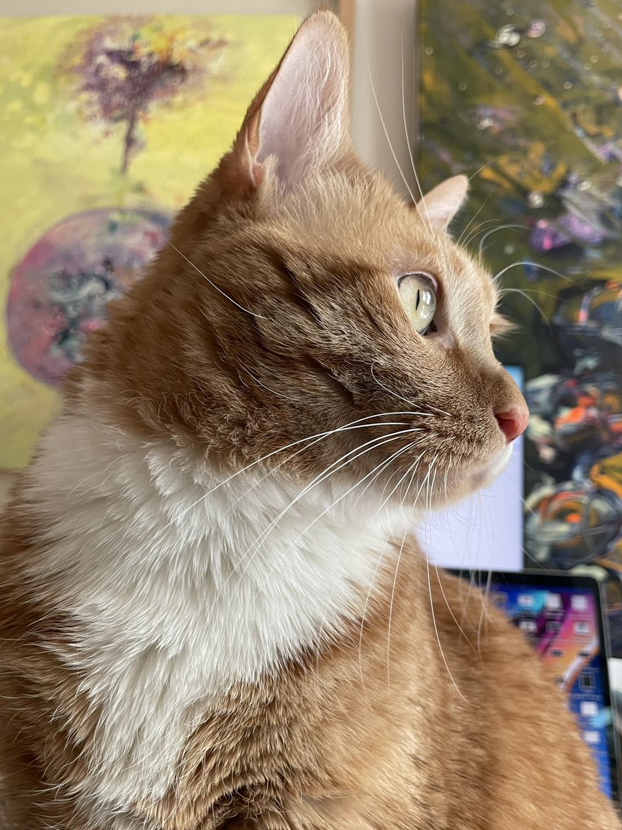 Joy Jo, The Artist tweet media