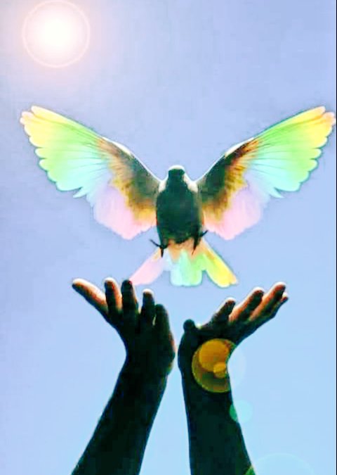 CataPra54's tweet photo. Mí querida @garciaines612 Inesita,hoy desplegastes tus alas y nos llenastes de tristeza😔xq te esperamos.Te fuiste el día que mí 👼hubiera cumplido 4 añitos... tu amiguito como vos decías,
Que tu alma descanse en Paz 🙌🏻.. Fortaleza para tu familia 🙏..
#HastaQcoincidamosOtraVez🖤 https://t.co/uLOUP30PXk