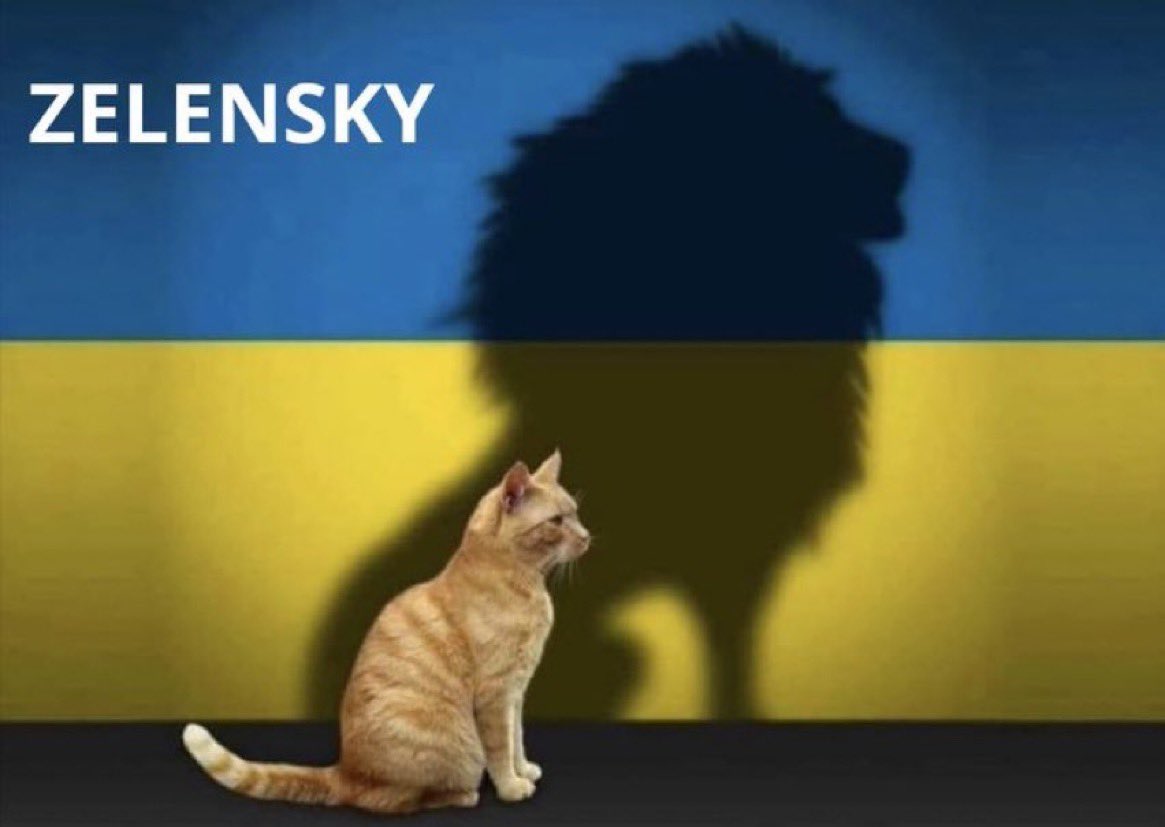 akingsto's tweet image. 