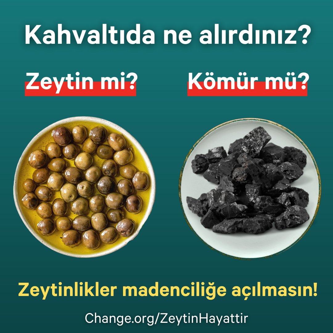 ChangeTR's tweet photo. 5 yıl önce zeytinlikler yok edilmek istenmiş, 300 bin kişinin imzasıyla yasa tasarısı durdurulmuştu.

"Tekrar başarabiliriz" diyen Aydın Şensal, zeytinliklerin madenciliğe açılmaması için kampanyasını sürdürüyor.

#ZeytinHayattır diyorsan imzala, paylaş:
👉https://t.co/CcMAjOwfYY https://t.co/DrUwVxXY5k